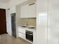 Spottiswoode Residences (D2), Condominium #598071181